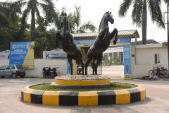 thumbs_DSC_2000-1