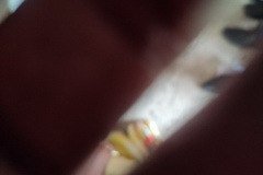 thumbs_IMG_20230402_121641
