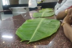 thumbs_IMG_20230402_145730-1